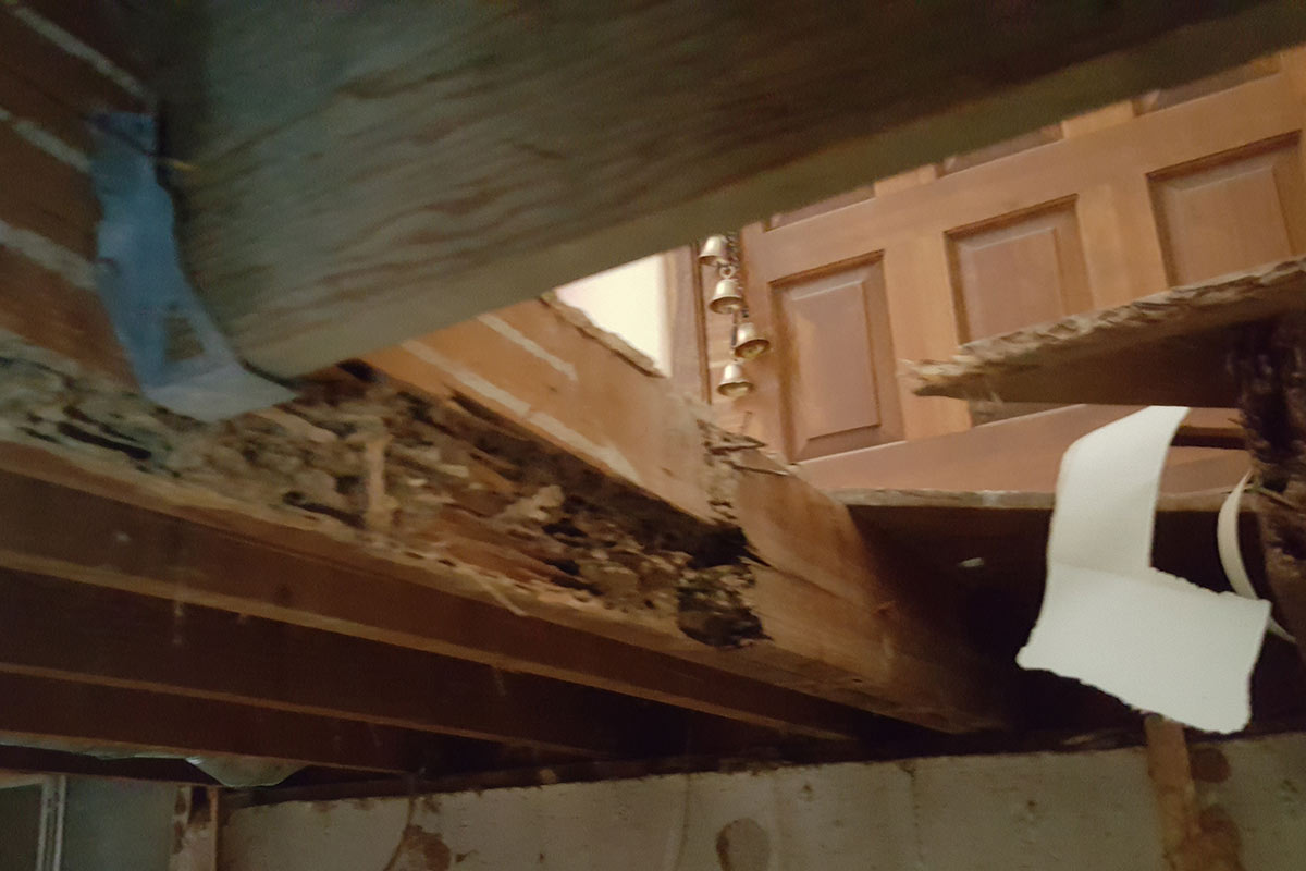 photo of indoor home floor damage due to termites