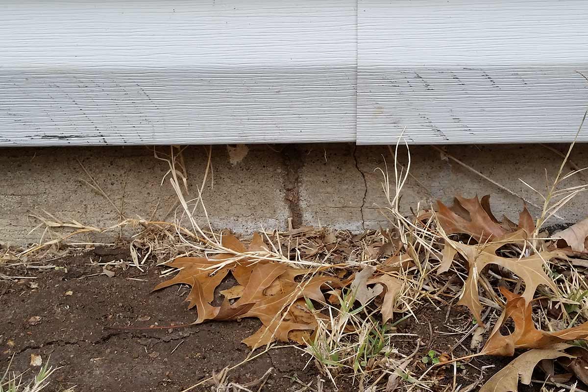 white siding on home, dirt on ground with brown fallen leaves